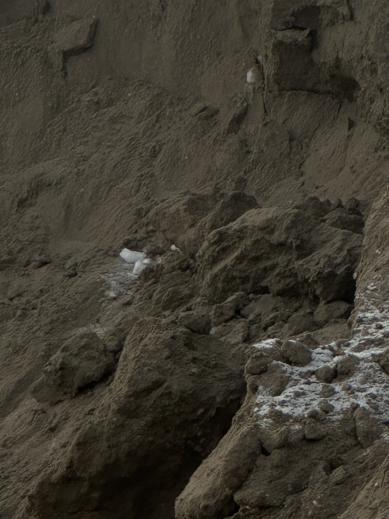 42 768x1024