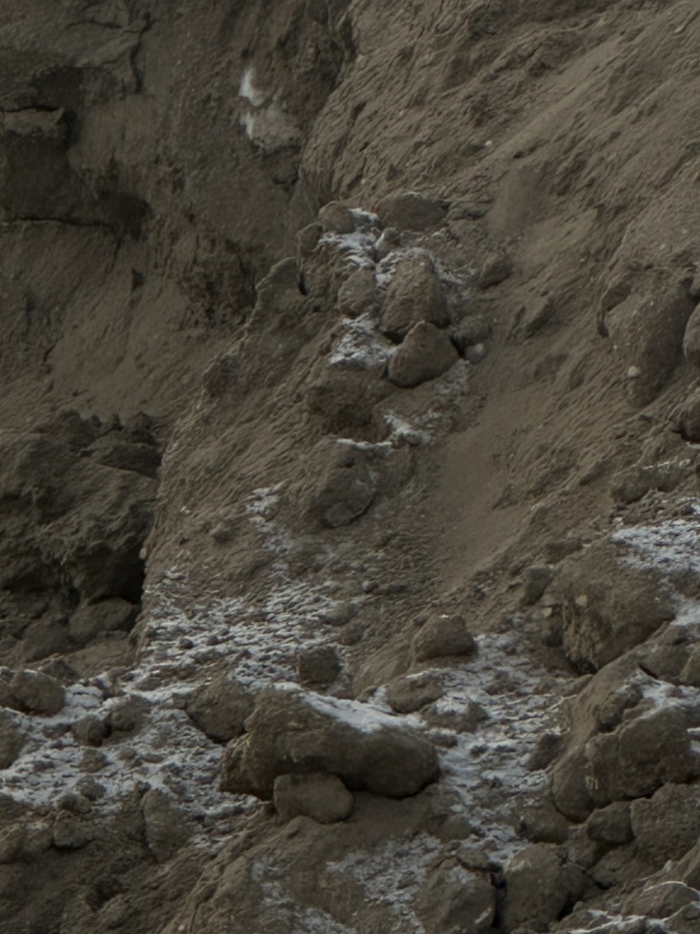 43 768x1024