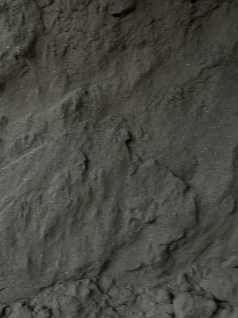 48 768x1024 48 768x1024