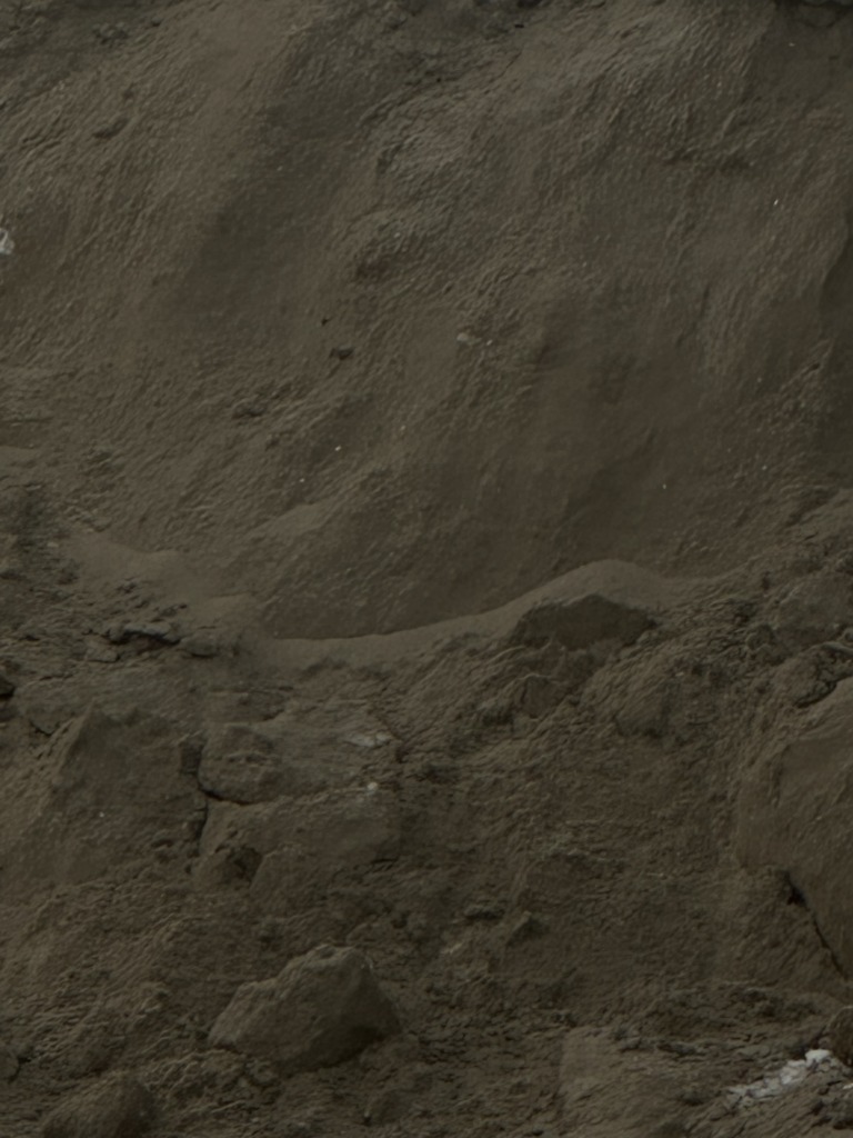 56 768x1024