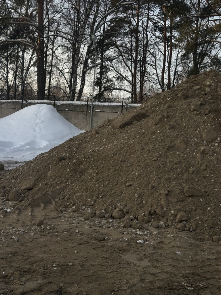 5 768x1024