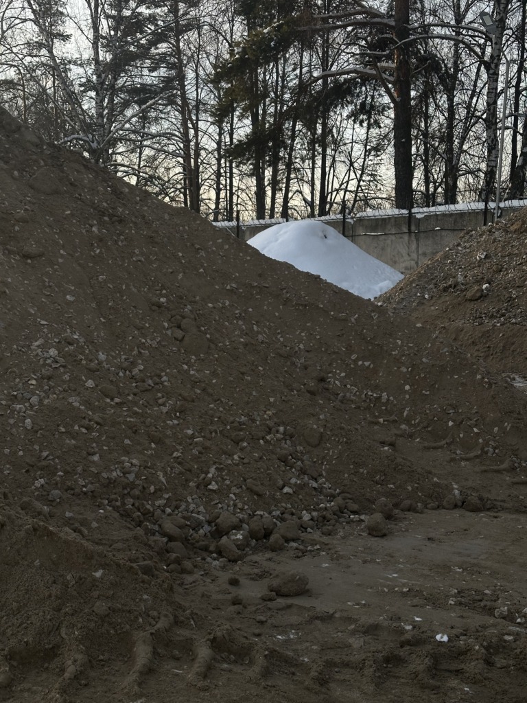 6 768x1024