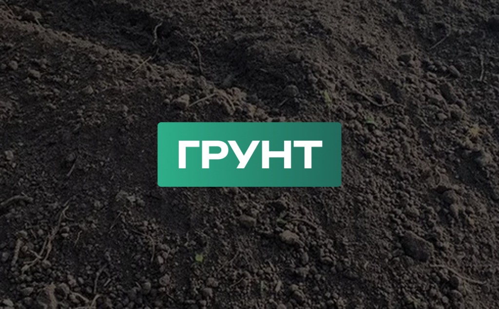 Главная