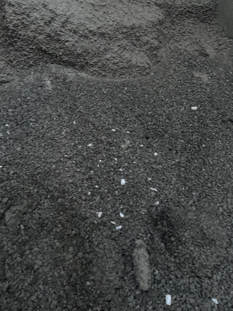 7 768x1024 7 768x1024