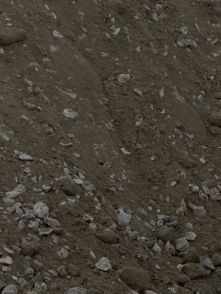 103 768x1024 103 768x1024
