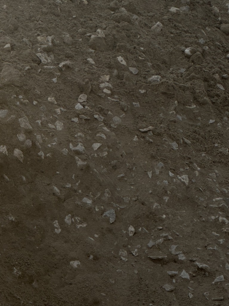 113 768x1024