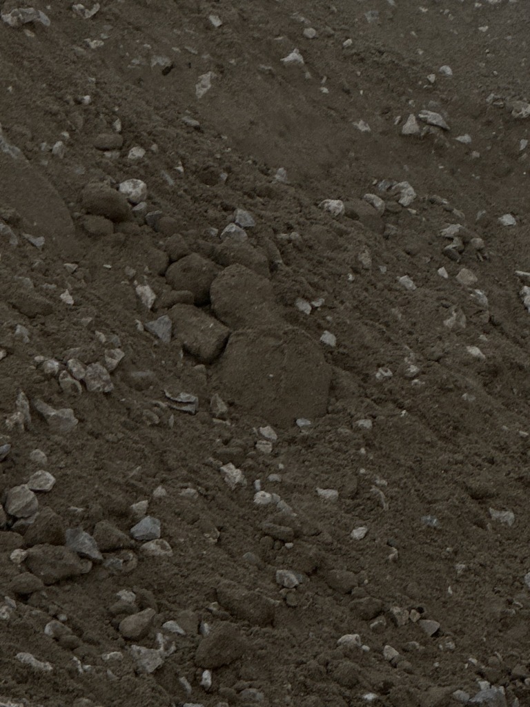 99 768x1024 99 768x1024